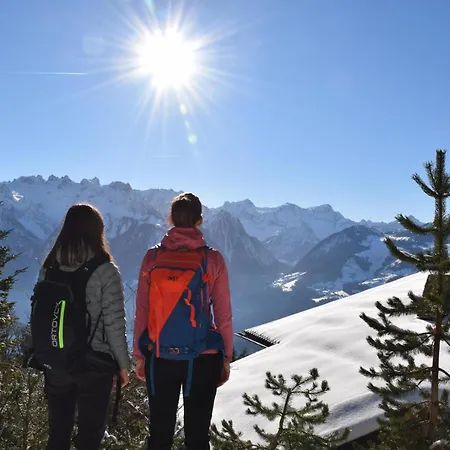 Alpblick