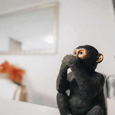 Alpblick 公寓 布鲁登茨